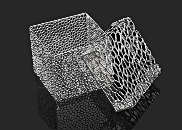 Organic-Lace
